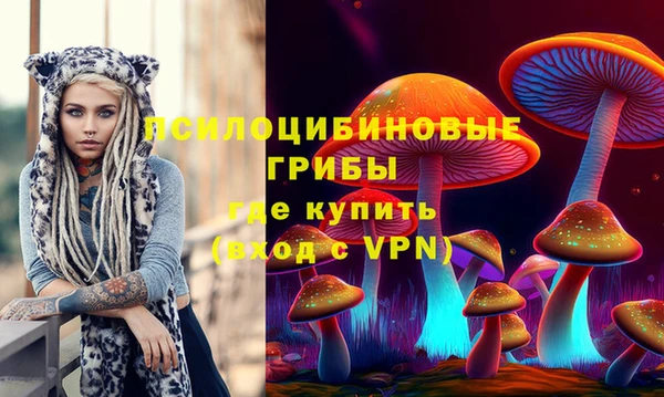 твердый Аркадак