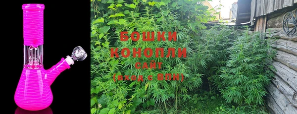 PSILOCYBIN Арсеньев